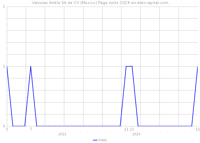 Valvulas Ankle SA de CV (Mexico) Page visits 2024 