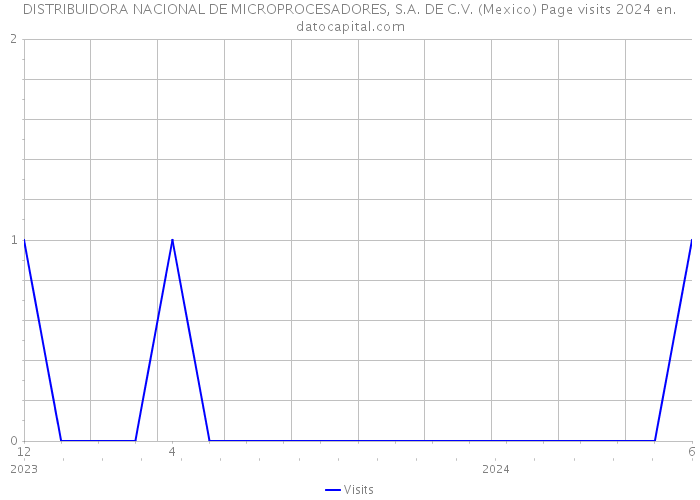 DISTRIBUIDORA NACIONAL DE MICROPROCESADORES, S.A. DE C.V. (Mexico) Page visits 2024 