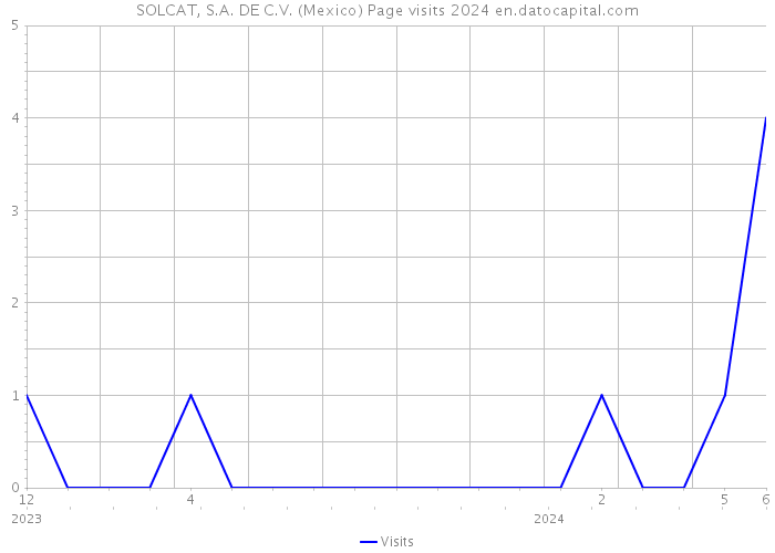 SOLCAT, S.A. DE C.V. (Mexico) Page visits 2024 
