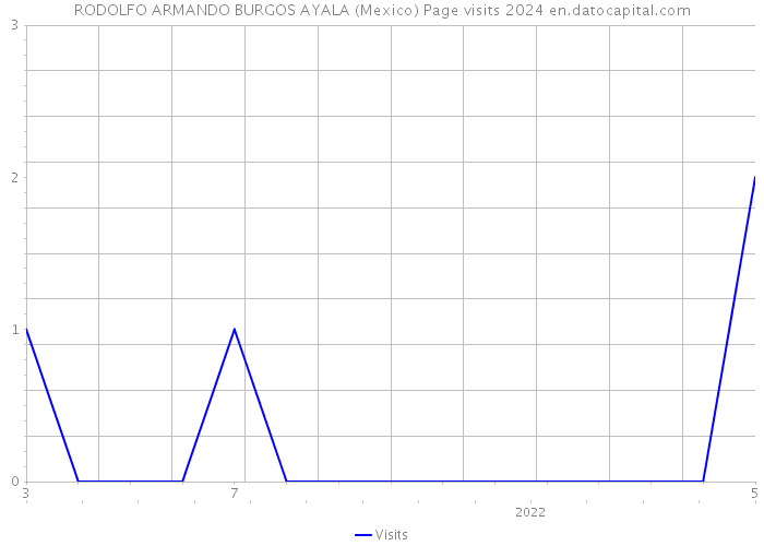 RODOLFO ARMANDO BURGOS AYALA (Mexico) Page visits 2024 