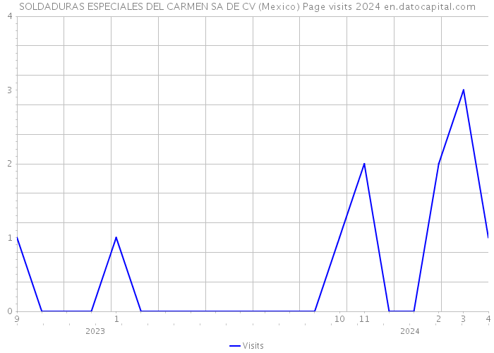 SOLDADURAS ESPECIALES DEL CARMEN SA DE CV (Mexico) Page visits 2024 