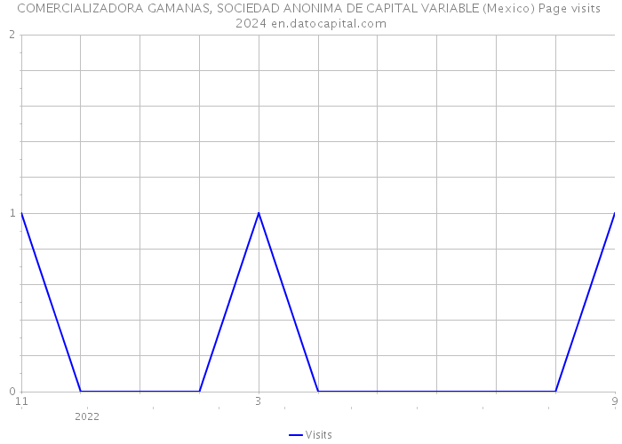 COMERCIALIZADORA GAMANAS, SOCIEDAD ANONIMA DE CAPITAL VARIABLE (Mexico) Page visits 2024 