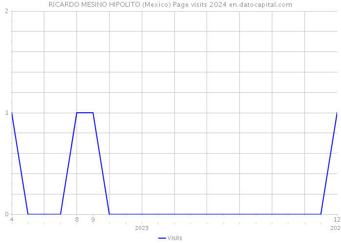 RICARDO MESINO HIPOLITO (Mexico) Page visits 2024 