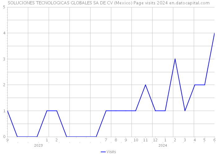 SOLUCIONES TECNOLOGICAS GLOBALES SA DE CV (Mexico) Page visits 2024 