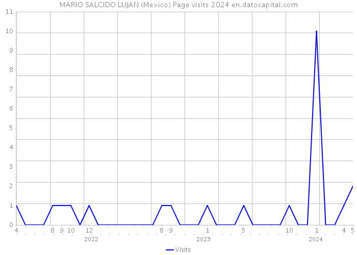MARIO SALCIDO LUJAN (Mexico) Page visits 2024 