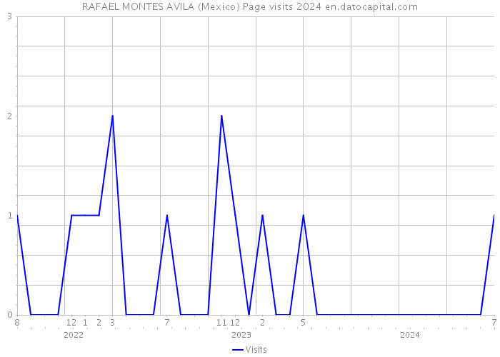 RAFAEL MONTES AVILA (Mexico) Page visits 2024 