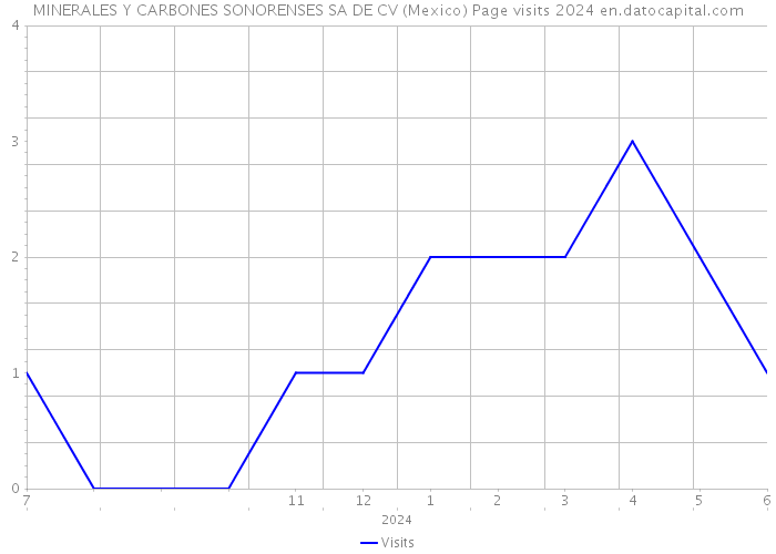 MINERALES Y CARBONES SONORENSES SA DE CV (Mexico) Page visits 2024 