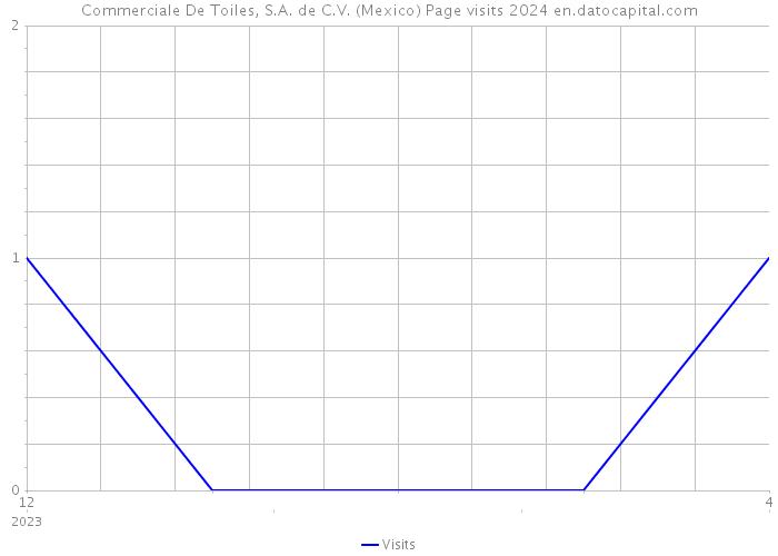 Commerciale De Toiles, S.A. de C.V. (Mexico) Page visits 2024 