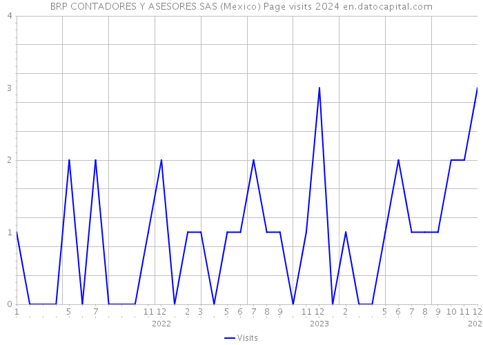 BRP CONTADORES Y ASESORES SAS (Mexico) Page visits 2024 