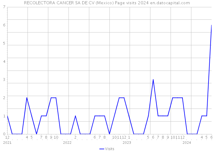 RECOLECTORA CANCER SA DE CV (Mexico) Page visits 2024 