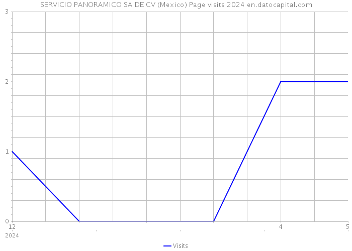 SERVICIO PANORAMICO SA DE CV (Mexico) Page visits 2024 