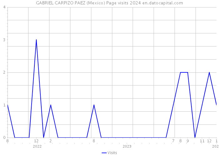 GABRIEL CARPIZO PAEZ (Mexico) Page visits 2024 