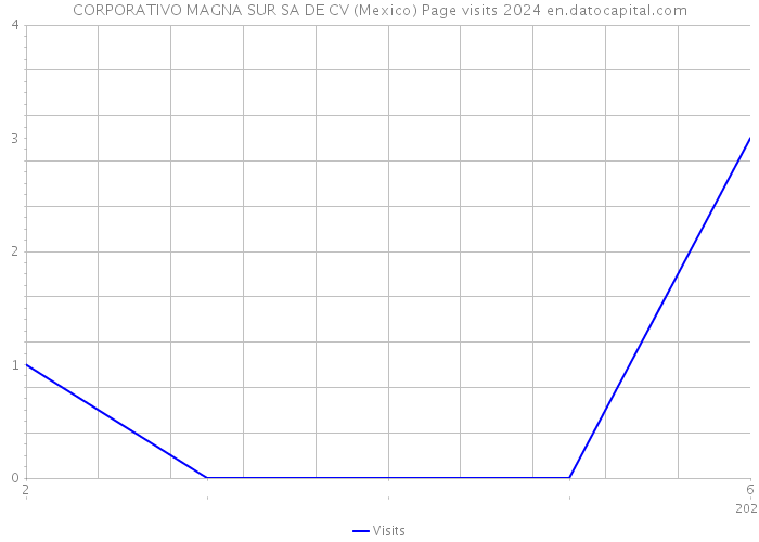 CORPORATIVO MAGNA SUR SA DE CV (Mexico) Page visits 2024 