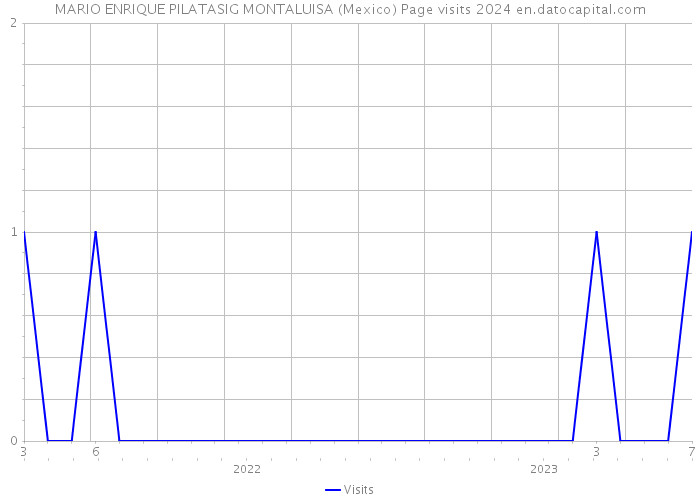 MARIO ENRIQUE PILATASIG MONTALUISA (Mexico) Page visits 2024 