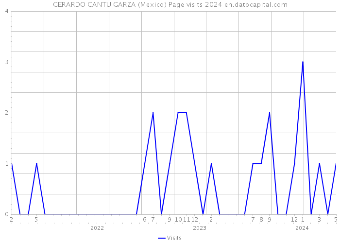 GERARDO CANTU GARZA (Mexico) Page visits 2024 