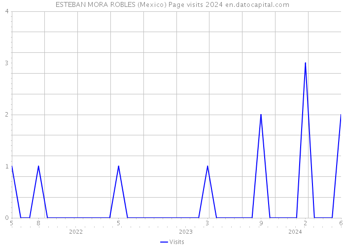 ESTEBAN MORA ROBLES (Mexico) Page visits 2024 