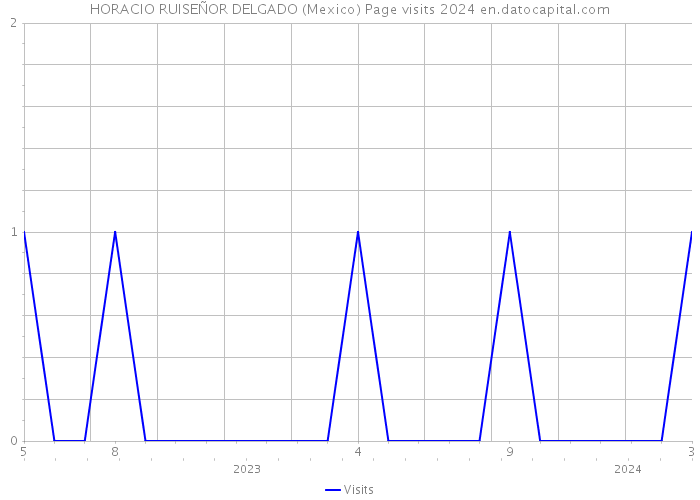HORACIO RUISEÑOR DELGADO (Mexico) Page visits 2024 