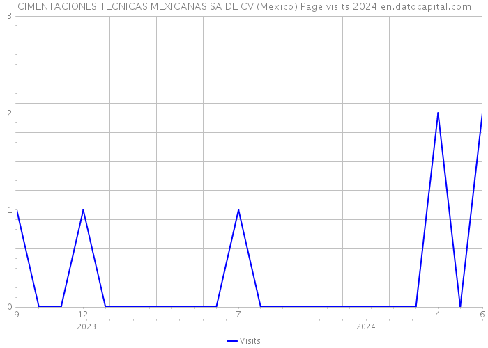 CIMENTACIONES TECNICAS MEXICANAS SA DE CV (Mexico) Page visits 2024 