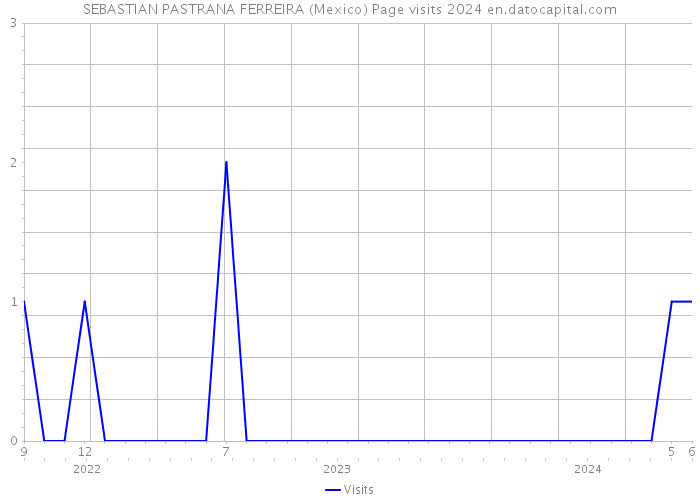 SEBASTIAN PASTRANA FERREIRA (Mexico) Page visits 2024 
