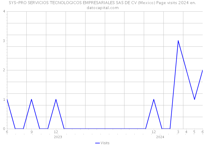SYS-PRO SERVICIOS TECNOLOGICOS EMPRESARIALES SAS DE CV (Mexico) Page visits 2024 