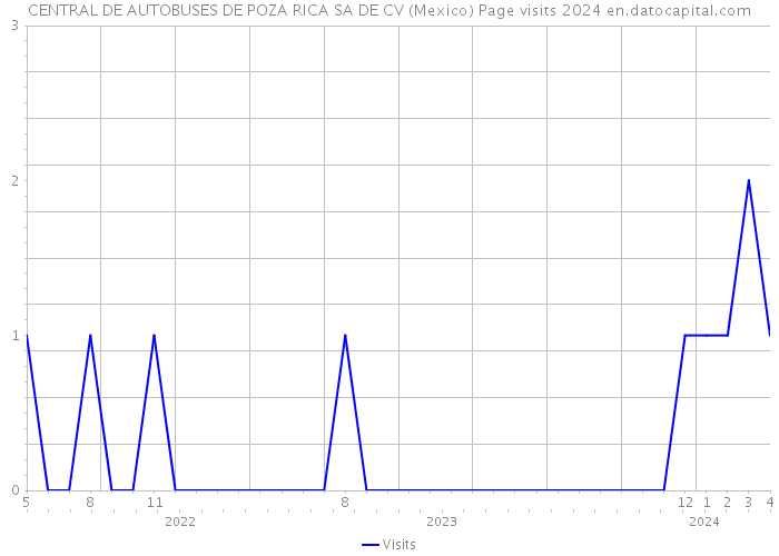 CENTRAL DE AUTOBUSES DE POZA RICA SA DE CV (Mexico) Page visits 2024 