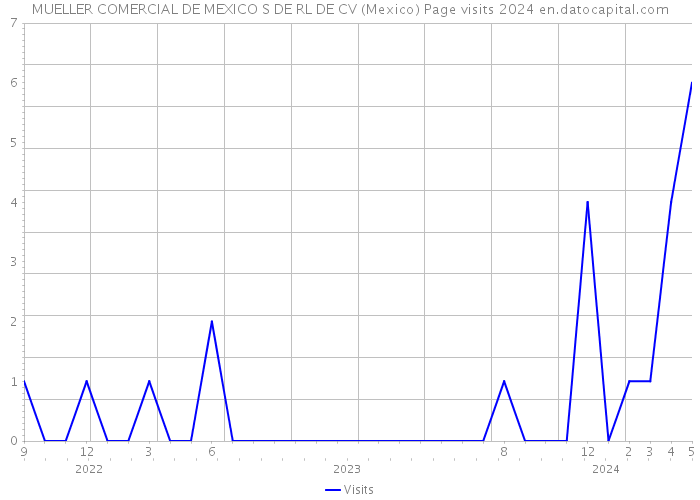 MUELLER COMERCIAL DE MEXICO S DE RL DE CV (Mexico) Page visits 2024 