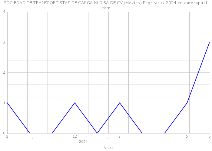 SOCIEDAD DE TRANSPORTISTAS DE CARGA NLD SA DE CV (Mexico) Page visits 2024 