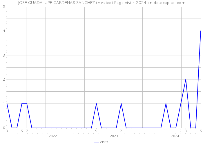 JOSE GUADALUPE CARDENAS SANCHEZ (Mexico) Page visits 2024 
