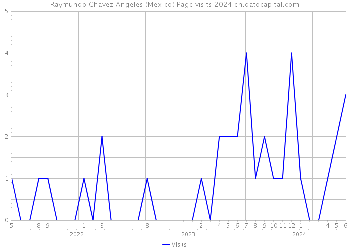 Raymundo Chavez Angeles (Mexico) Page visits 2024 