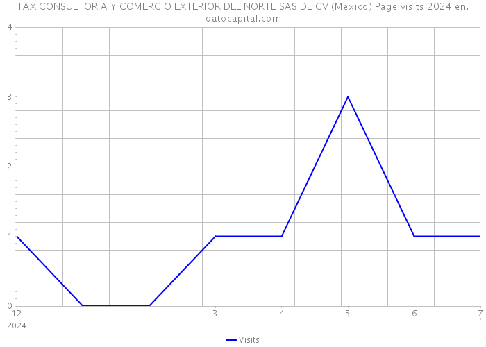 TAX CONSULTORIA Y COMERCIO EXTERIOR DEL NORTE SAS DE CV (Mexico) Page visits 2024 