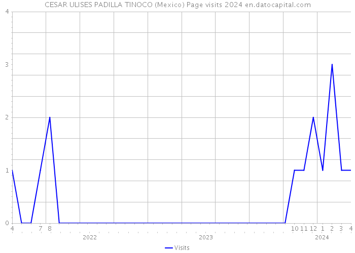 CESAR ULISES PADILLA TINOCO (Mexico) Page visits 2024 