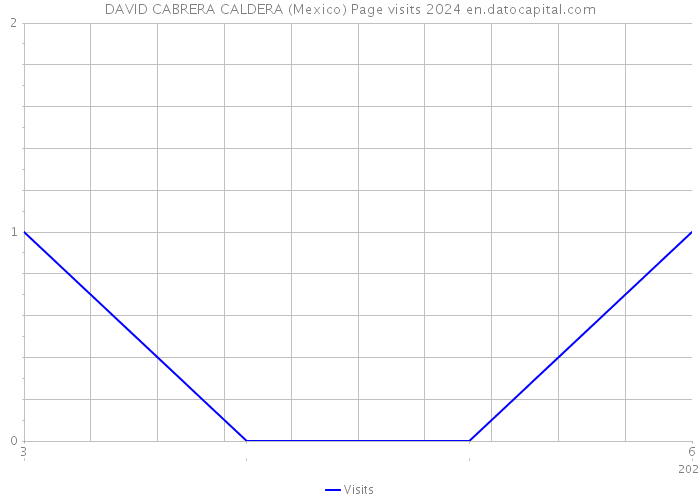DAVID CABRERA CALDERA (Mexico) Page visits 2024 