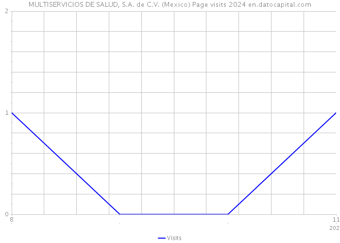 MULTISERVICIOS DE SALUD, S.A. de C.V. (Mexico) Page visits 2024 