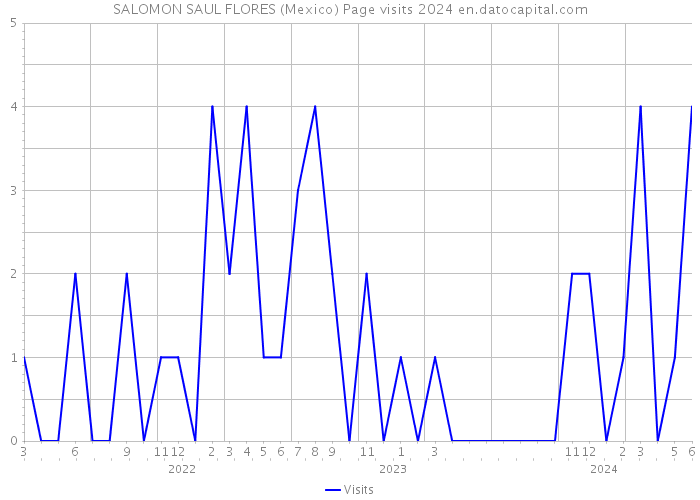 SALOMON SAUL FLORES (Mexico) Page visits 2024 