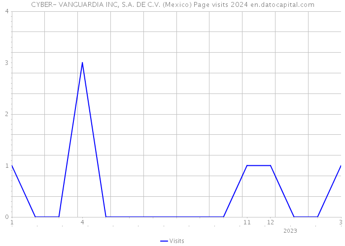 CYBER- VANGUARDIA INC, S.A. DE C.V. (Mexico) Page visits 2024 