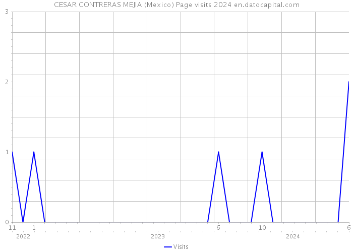 CESAR CONTRERAS MEJIA (Mexico) Page visits 2024 