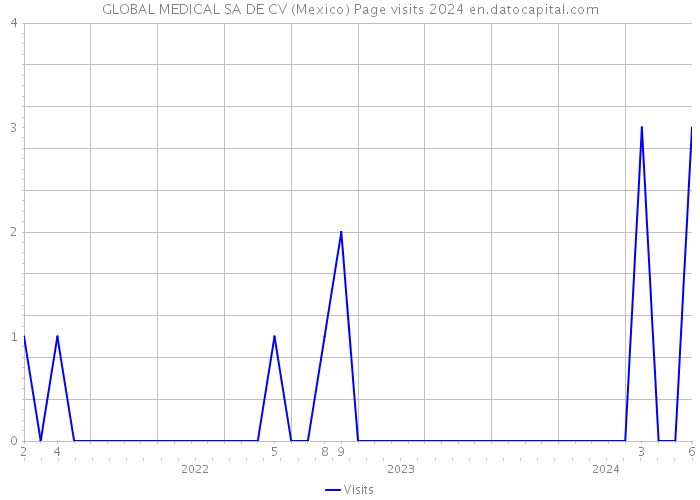 GLOBAL MEDICAL SA DE CV (Mexico) Page visits 2024 
