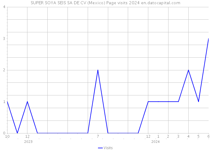 SUPER SOYA SEIS SA DE CV (Mexico) Page visits 2024 