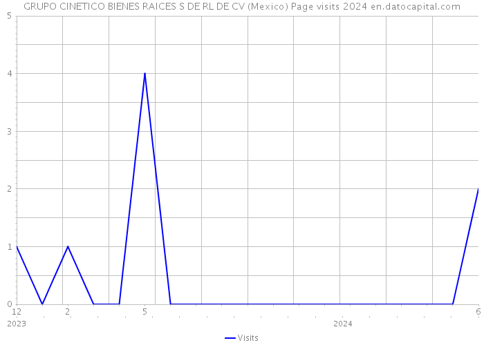 GRUPO CINETICO BIENES RAICES S DE RL DE CV (Mexico) Page visits 2024 
