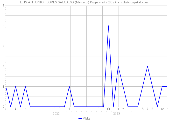 LUIS ANTONIO FLORES SALGADO (Mexico) Page visits 2024 