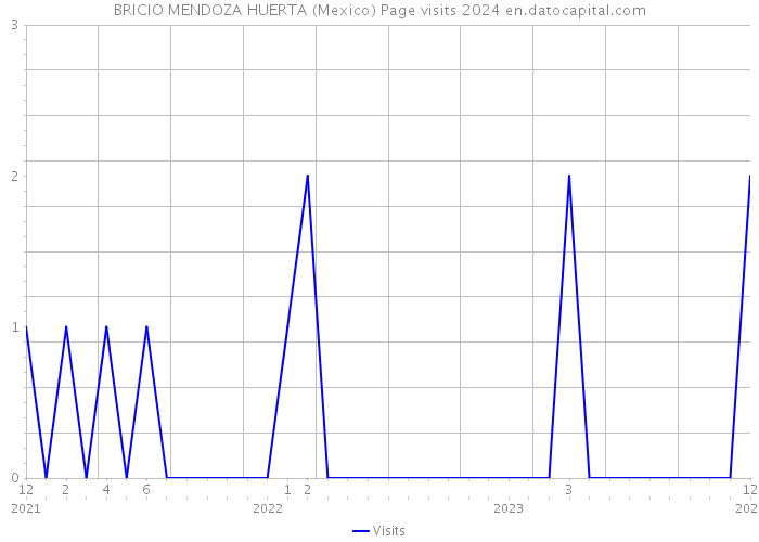 BRICIO MENDOZA HUERTA (Mexico) Page visits 2024 