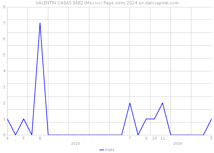 VALENTIN CASAS SAEZ (Mexico) Page visits 2024 