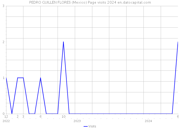 PEDRO GUILLEN FLORES (Mexico) Page visits 2024 