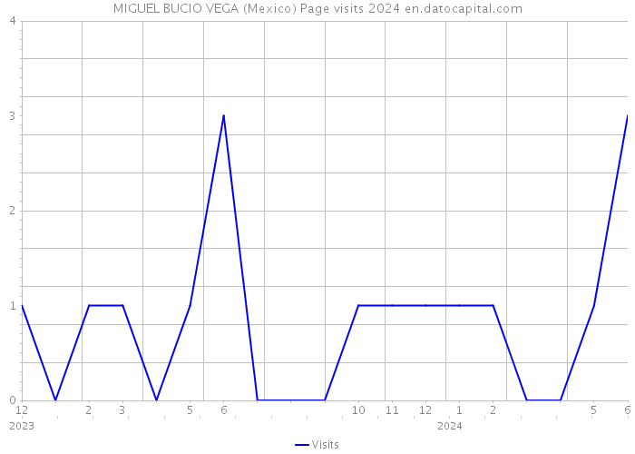 MIGUEL BUCIO VEGA (Mexico) Page visits 2024 