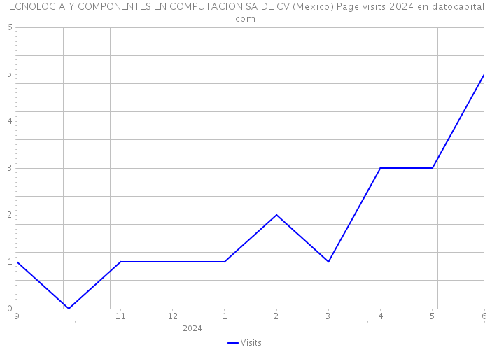 TECNOLOGIA Y COMPONENTES EN COMPUTACION SA DE CV (Mexico) Page visits 2024 