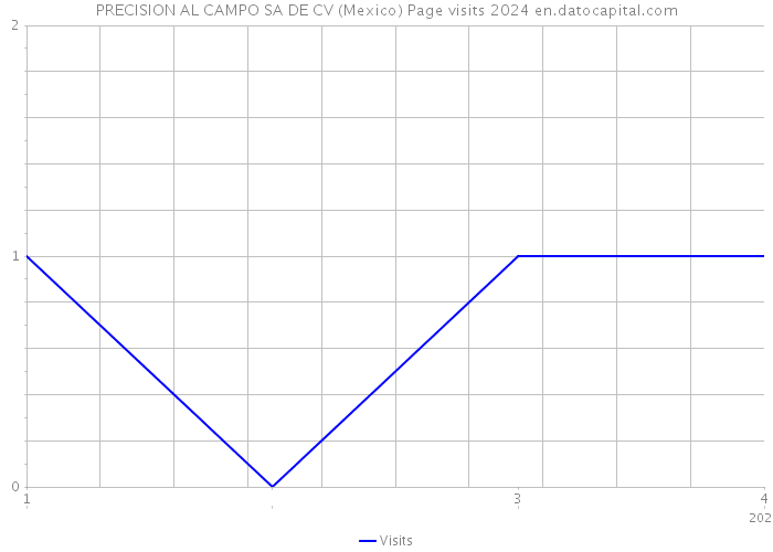 PRECISION AL CAMPO SA DE CV (Mexico) Page visits 2024 