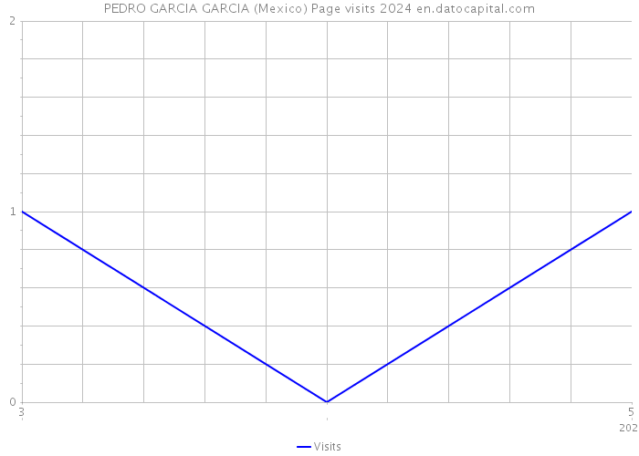 PEDRO GARCIA GARCIA (Mexico) Page visits 2024 