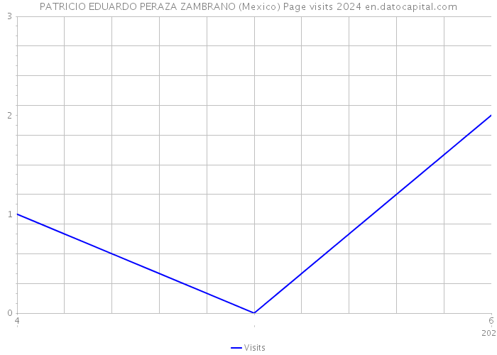 PATRICIO EDUARDO PERAZA ZAMBRANO (Mexico) Page visits 2024 