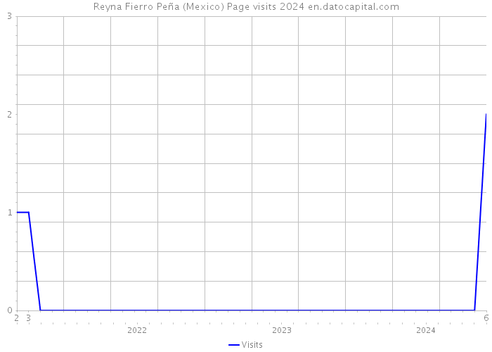 Reyna Fierro Peña (Mexico) Page visits 2024 