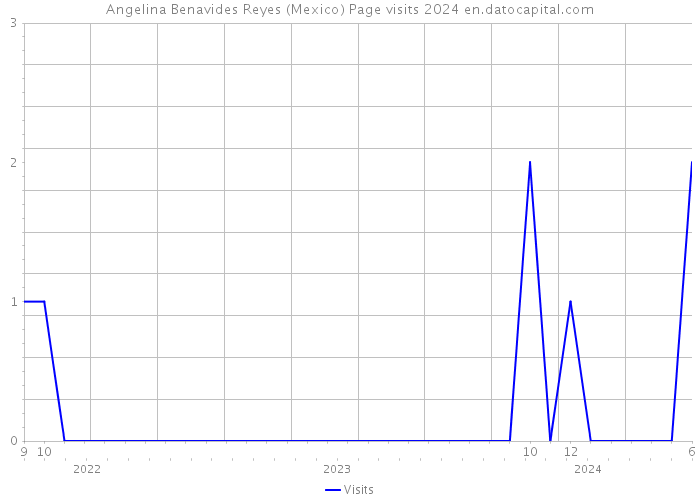 Angelina Benavides Reyes (Mexico) Page visits 2024 